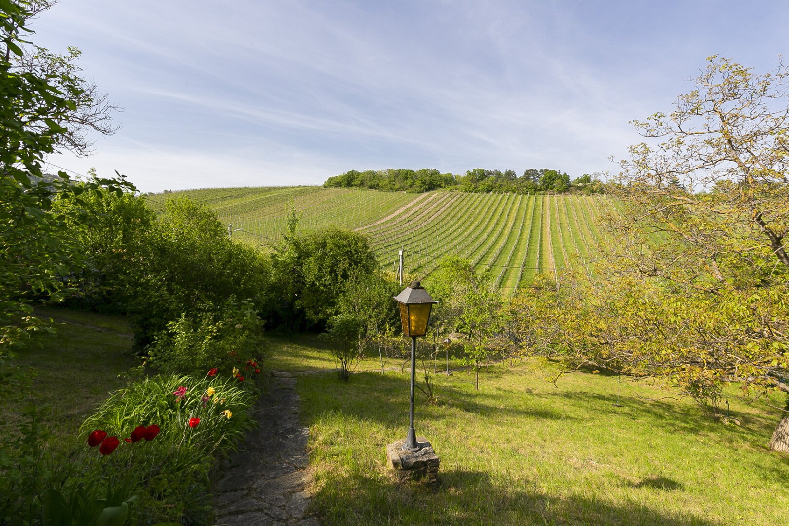 Einzellagenjuwel – 2.500m2 Grundstück zwischen den Weinreben am Nußberg, 1190 Wien, Wohngrundstück
