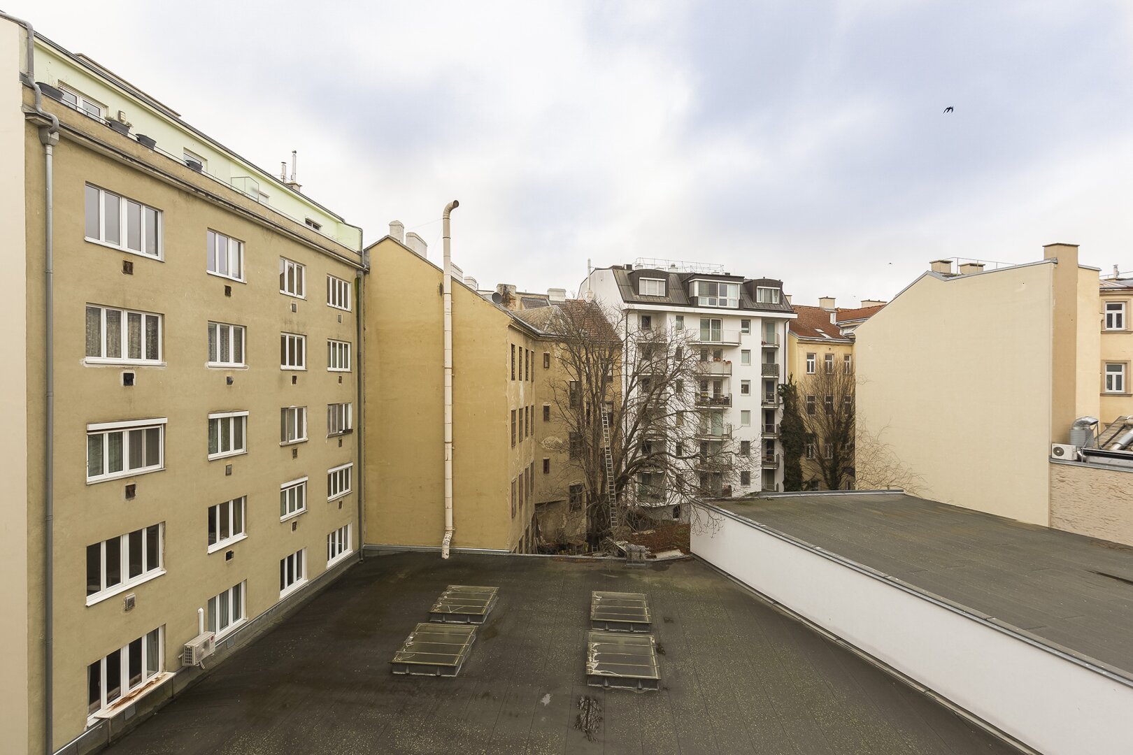Verlassenschaft – Taborstraße, sanierungsbed. Neubau mit Balkon, 4. Liftstock, 1020 Wien, Wohnung
